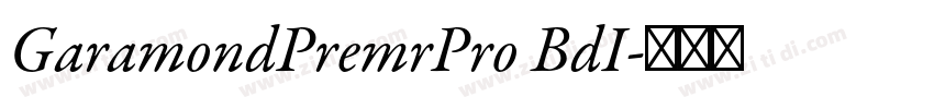 GaramondPremrPro BdI字体转换